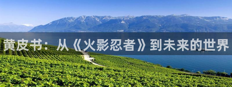 漫画之家免费：黄皮书：从《火影忍者》到未来的世界